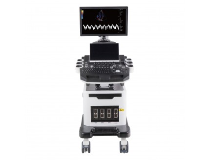 DW-T8
