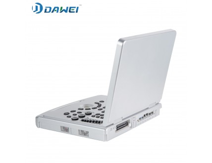 DW-L5