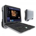 DW-P6