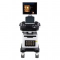 DW-T6