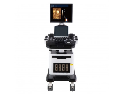 DW-T6
